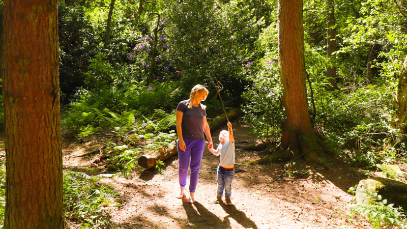 Yorkshire holidays for families uk staycation dalby forest family walk