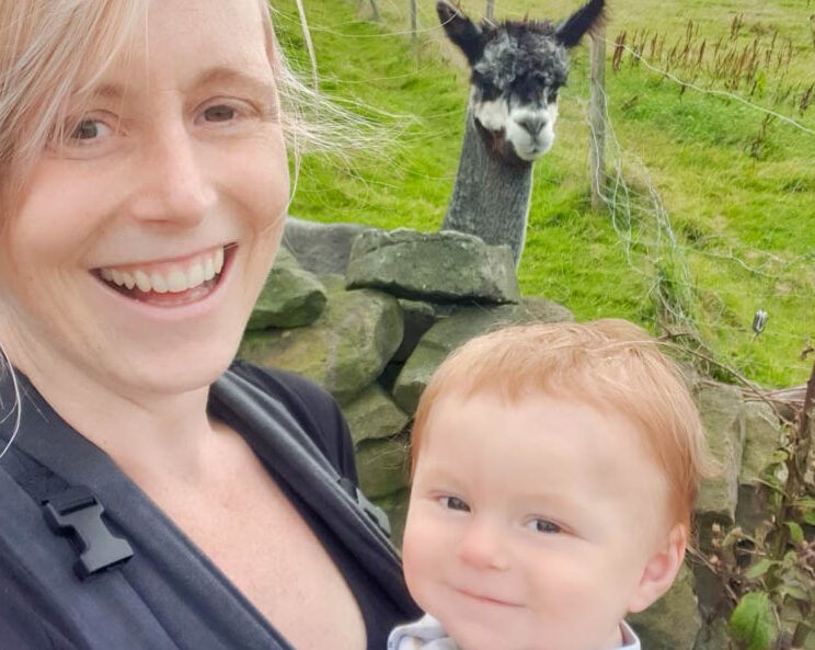 Yorkshire holidays for families uk staycation llam alpaca walk sheffield