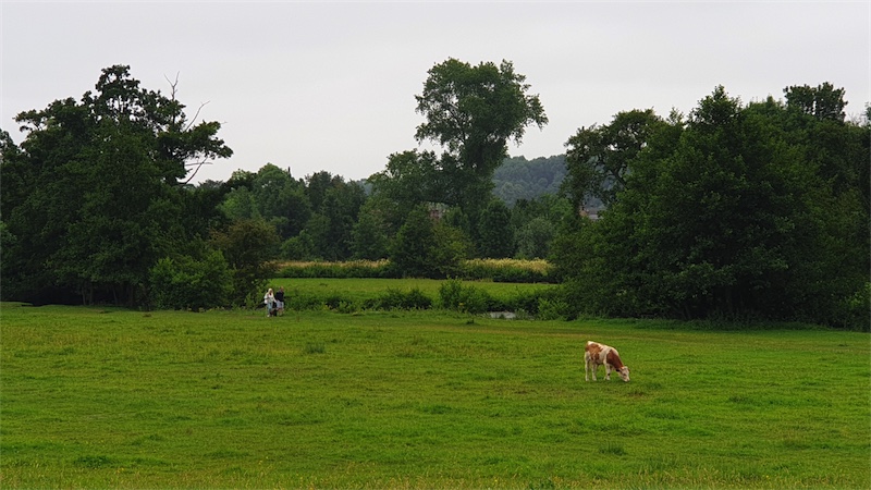 Bakewell walks