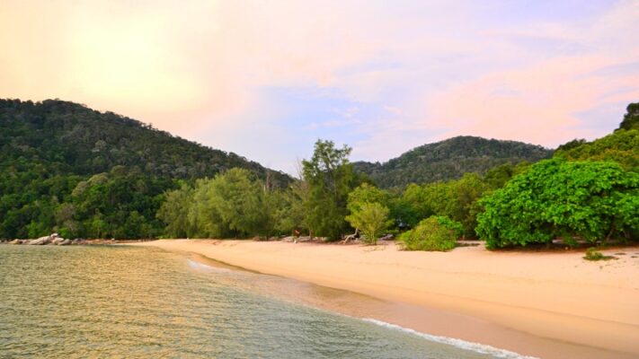 Monkey Beach or Turtle Beach