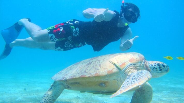 Malaysia vs Thailand snorkeling Perhentians turtle
