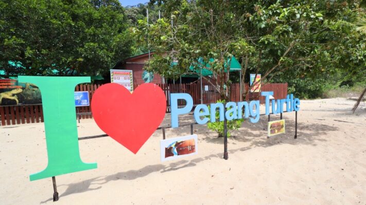 best beach in Penang turtle sanctuary