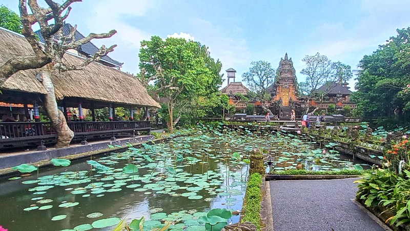Saraswati temple Ubud Lotus pond