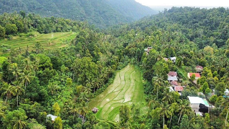 Ananda Homestay