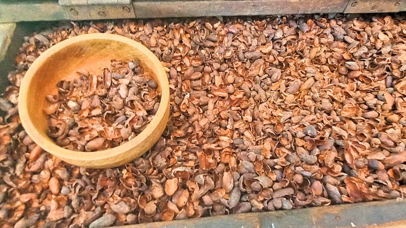 Cocoa nibs