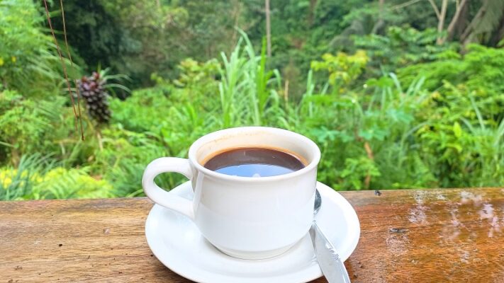 Kopi Luwak Bali the backpacking family