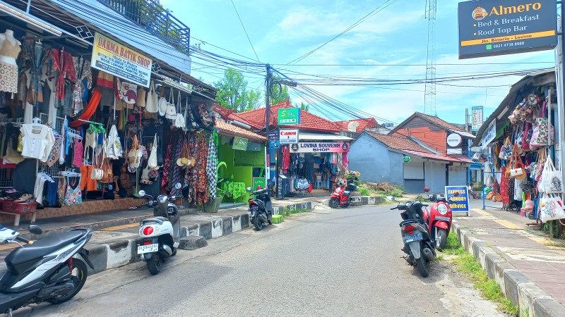Lovina town