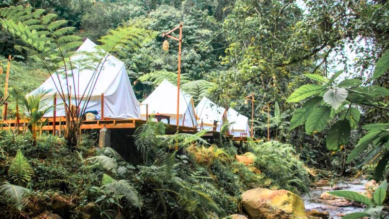 Pelaga Eco Park 3