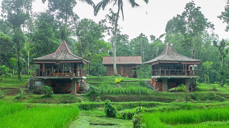 Tepi Sawah 1