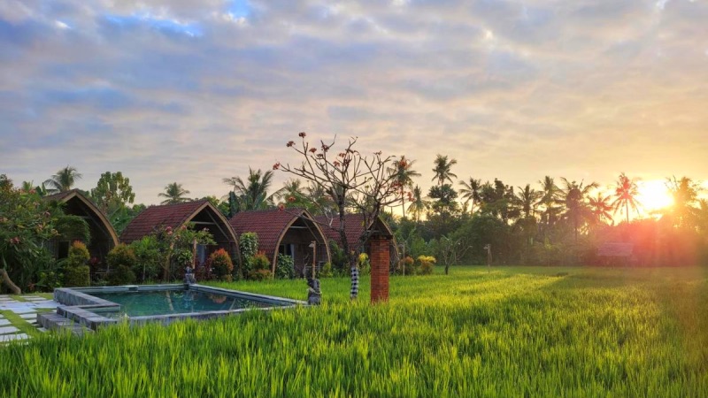 Umma Bali Menjangan
