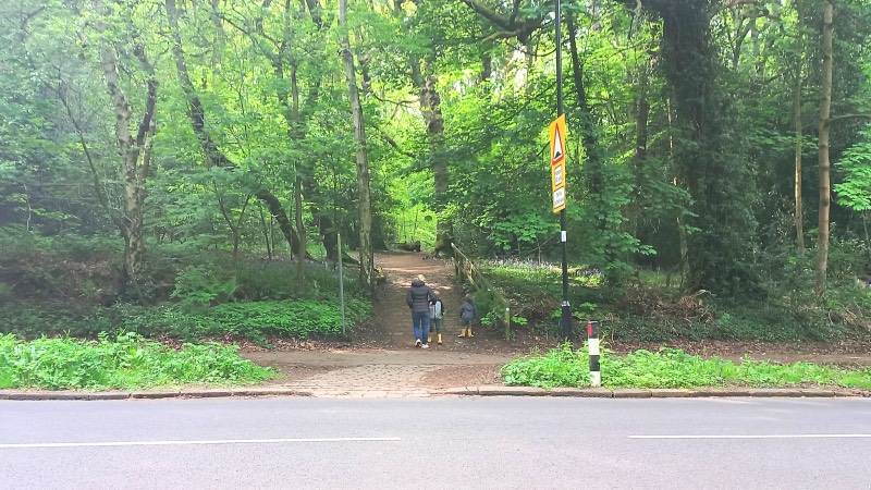 Ecclesall woods walks road