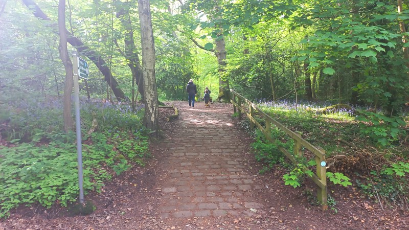 Ecclesall woods walks paths