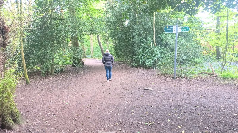 Ecclesall woods walks path