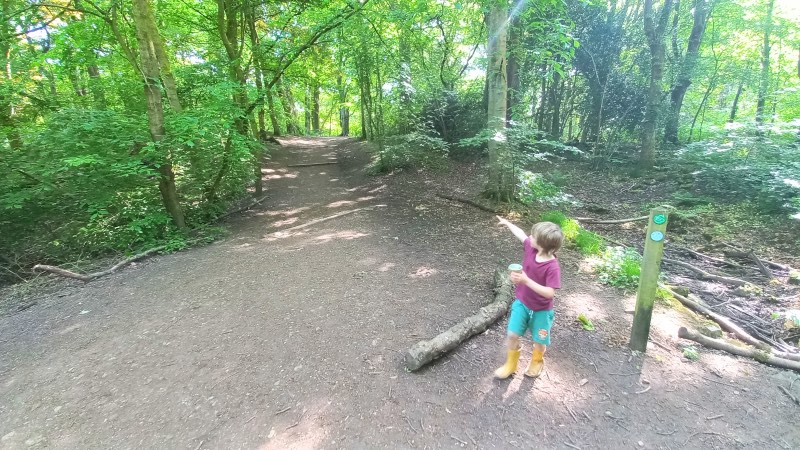 Ecclesall woods walks ridge