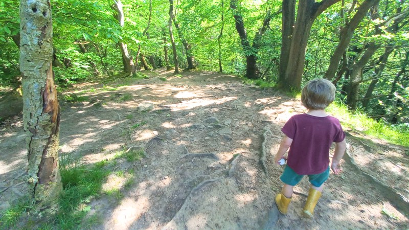 Ecclesall woods walks trail