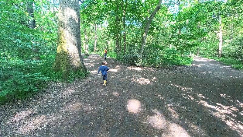 Ecclesall woods walks loop