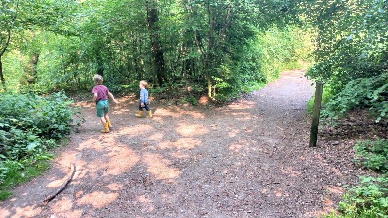 Ecclesall woods walk