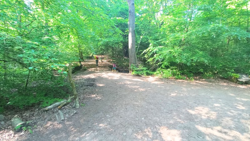 Ecclesall woods walks pathways