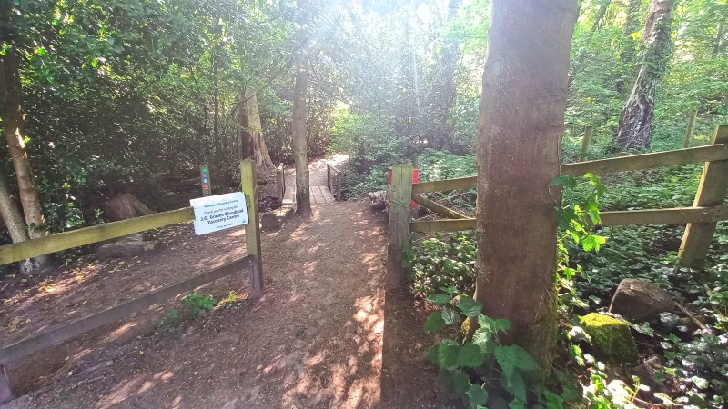 Ecclesall woods walks start of walk