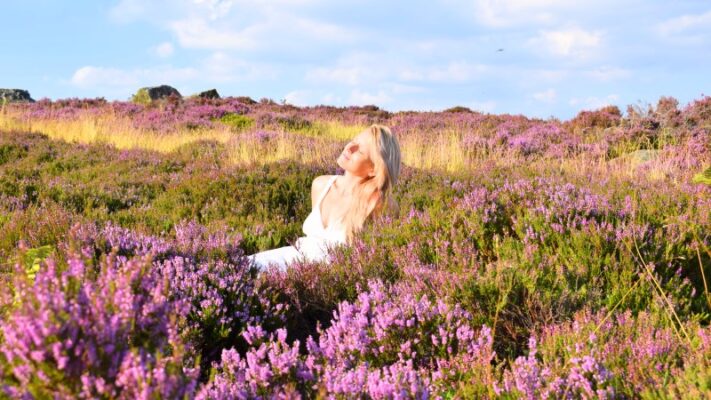purple heather peak district