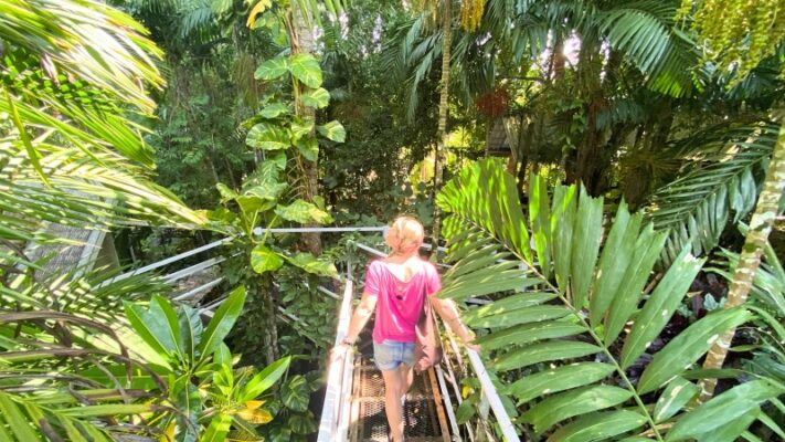 canopy walkway baan ton mai krabi