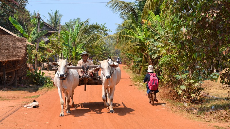 Rural village Cambodia