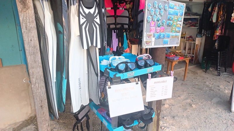 Fins and mask for rent moalboal