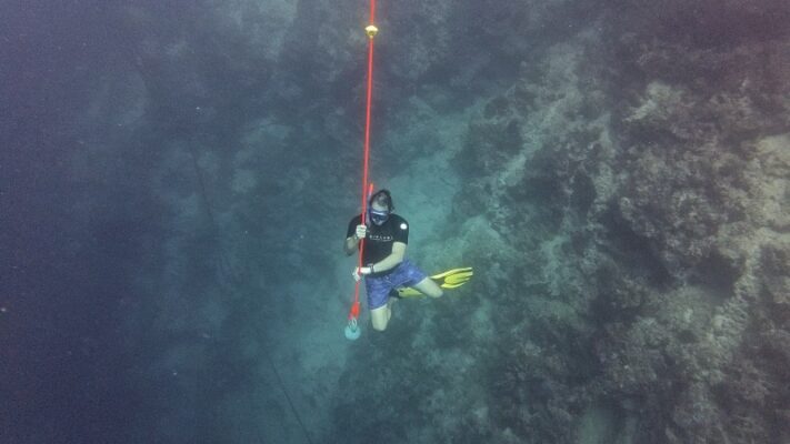 Freediving CWT moalboal