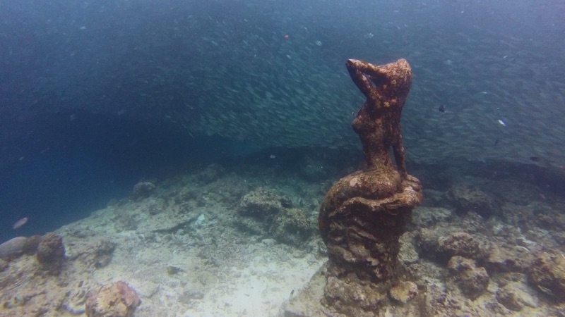 Mermaid statue and sardines Moalboal