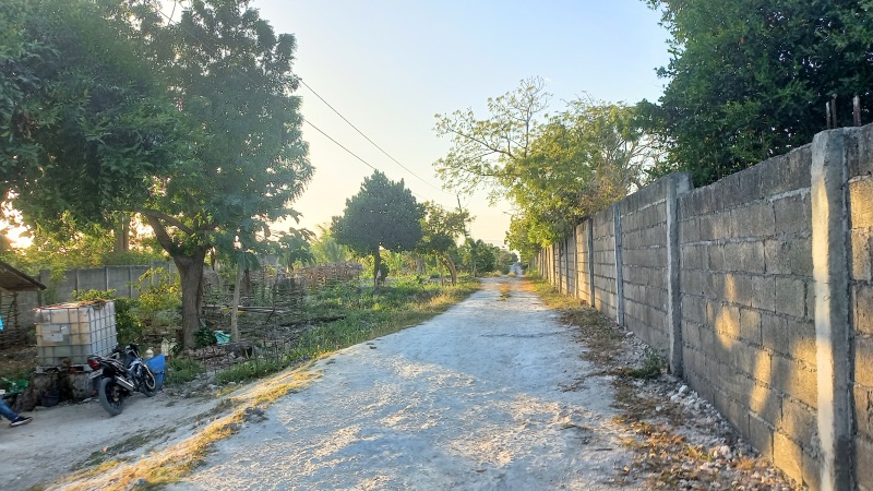 Rural Philippines Cebu Moalboal