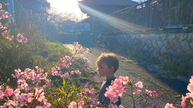 Blossom tokoname