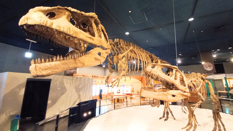 Nagoya Museum Dinosaurs