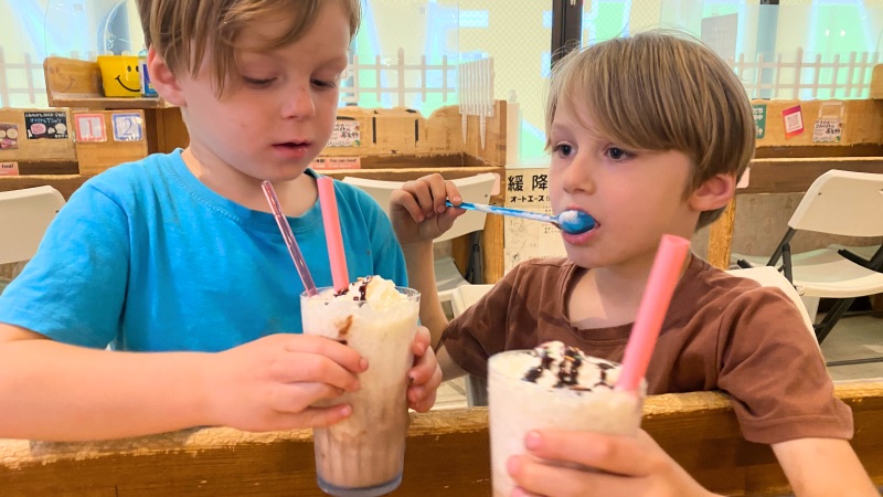 Drinks at the animal cafe