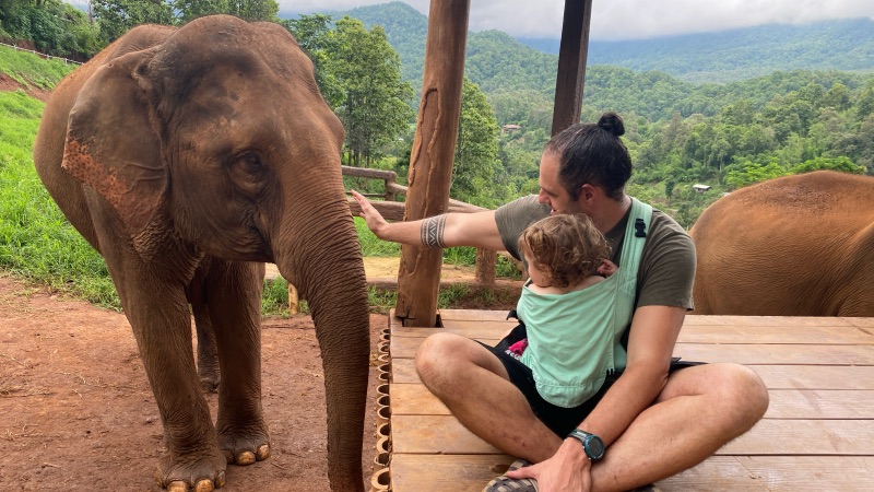 Elefin Chiang mai ethical elephant encounter