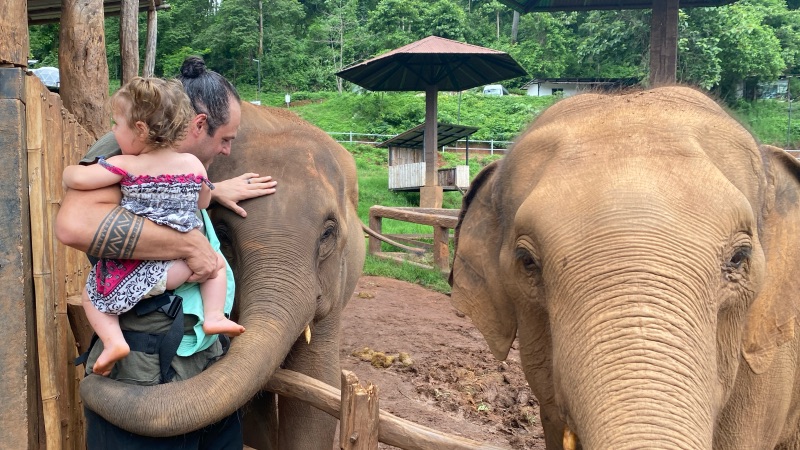 Hug from an elephant