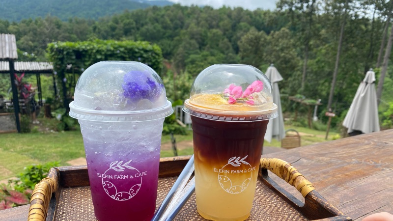 Unique fresh drinks elefin