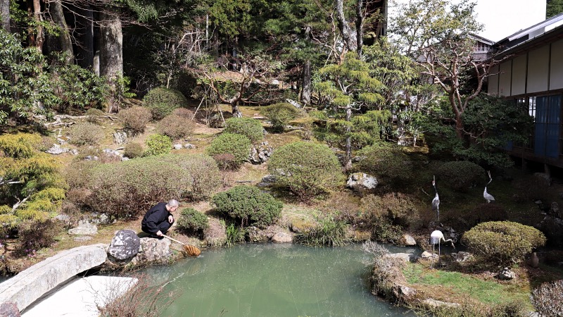 Monk in garden pond Koyasan